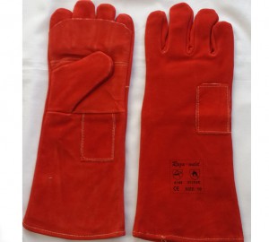 Hand Protection